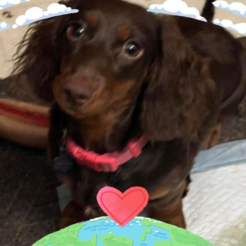 Meet your Posher, Stacey